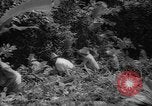 Image of forest Caracas Venezuela, 1940, second 47 stock footage video 65675050633