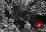 Image of forest Caracas Venezuela, 1940, second 52 stock footage video 65675050633