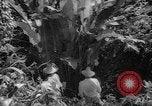 Image of forest Caracas Venezuela, 1940, second 54 stock footage video 65675050633