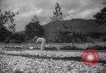 Image of shelling and drying of coconut Caracas Venezuela, 1940, second 14 stock footage video 65675050637