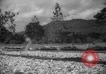 Image of shelling and drying of coconut Caracas Venezuela, 1940, second 17 stock footage video 65675050637