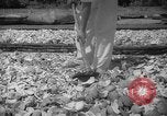 Image of shelling and drying of coconut Caracas Venezuela, 1940, second 25 stock footage video 65675050637