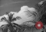 Image of shelling and drying of coconut Caracas Venezuela, 1940, second 35 stock footage video 65675050637