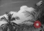 Image of shelling and drying of coconut Caracas Venezuela, 1940, second 36 stock footage video 65675050637