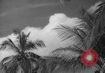 Image of shelling and drying of coconut Caracas Venezuela, 1940, second 37 stock footage video 65675050637