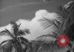 Image of shelling and drying of coconut Caracas Venezuela, 1940, second 38 stock footage video 65675050637