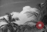 Image of shelling and drying of coconut Caracas Venezuela, 1940, second 39 stock footage video 65675050637