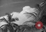Image of shelling and drying of coconut Caracas Venezuela, 1940, second 40 stock footage video 65675050637