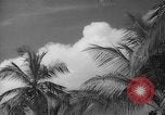 Image of shelling and drying of coconut Caracas Venezuela, 1940, second 41 stock footage video 65675050637