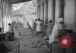 Image of shelling and drying of coconut Caracas Venezuela, 1940, second 42 stock footage video 65675050637