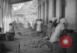 Image of shelling and drying of coconut Caracas Venezuela, 1940, second 43 stock footage video 65675050637