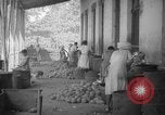 Image of shelling and drying of coconut Caracas Venezuela, 1940, second 45 stock footage video 65675050637