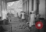 Image of shelling and drying of coconut Caracas Venezuela, 1940, second 47 stock footage video 65675050637