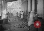 Image of shelling and drying of coconut Caracas Venezuela, 1940, second 49 stock footage video 65675050637