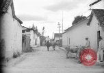 Image of Mules for transportation Caracas Venezuela, 1940, second 7 stock footage video 65675050640