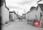 Image of Mules for transportation Caracas Venezuela, 1940, second 9 stock footage video 65675050640
