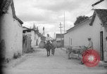 Image of Mules for transportation Caracas Venezuela, 1940, second 12 stock footage video 65675050640