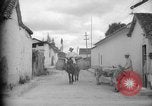 Image of Mules for transportation Caracas Venezuela, 1940, second 13 stock footage video 65675050640