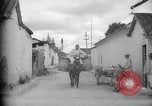 Image of Mules for transportation Caracas Venezuela, 1940, second 14 stock footage video 65675050640