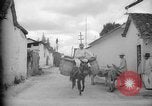 Image of Mules for transportation Caracas Venezuela, 1940, second 15 stock footage video 65675050640