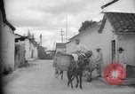 Image of Mules for transportation Caracas Venezuela, 1940, second 16 stock footage video 65675050640