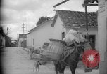 Image of Mules for transportation Caracas Venezuela, 1940, second 19 stock footage video 65675050640