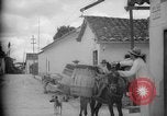 Image of Mules for transportation Caracas Venezuela, 1940, second 22 stock footage video 65675050640