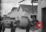 Image of Mules for transportation Caracas Venezuela, 1940, second 24 stock footage video 65675050640