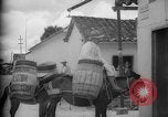 Image of Mules for transportation Caracas Venezuela, 1940, second 25 stock footage video 65675050640