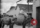 Image of Mules for transportation Caracas Venezuela, 1940, second 26 stock footage video 65675050640