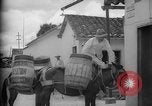 Image of Mules for transportation Caracas Venezuela, 1940, second 27 stock footage video 65675050640
