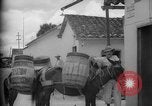 Image of Mules for transportation Caracas Venezuela, 1940, second 28 stock footage video 65675050640