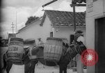 Image of Mules for transportation Caracas Venezuela, 1940, second 30 stock footage video 65675050640