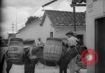 Image of Mules for transportation Caracas Venezuela, 1940, second 31 stock footage video 65675050640