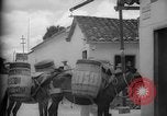 Image of Mules for transportation Caracas Venezuela, 1940, second 32 stock footage video 65675050640