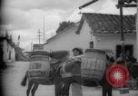 Image of Mules for transportation Caracas Venezuela, 1940, second 34 stock footage video 65675050640