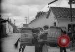 Image of Mules for transportation Caracas Venezuela, 1940, second 35 stock footage video 65675050640