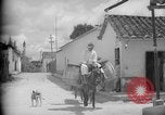 Image of Mules for transportation Caracas Venezuela, 1940, second 37 stock footage video 65675050640