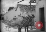 Image of Mules for transportation Caracas Venezuela, 1940, second 41 stock footage video 65675050640