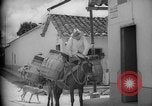Image of Mules for transportation Caracas Venezuela, 1940, second 42 stock footage video 65675050640