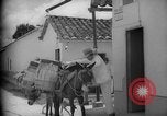 Image of Mules for transportation Caracas Venezuela, 1940, second 43 stock footage video 65675050640
