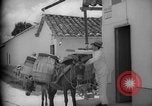 Image of Mules for transportation Caracas Venezuela, 1940, second 44 stock footage video 65675050640