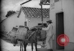 Image of Mules for transportation Caracas Venezuela, 1940, second 45 stock footage video 65675050640