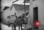 Image of Mules for transportation Caracas Venezuela, 1940, second 46 stock footage video 65675050640