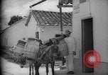 Image of Mules for transportation Caracas Venezuela, 1940, second 47 stock footage video 65675050640