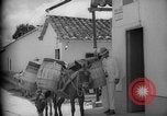 Image of Mules for transportation Caracas Venezuela, 1940, second 48 stock footage video 65675050640