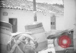 Image of Mules for transportation Caracas Venezuela, 1940, second 49 stock footage video 65675050640