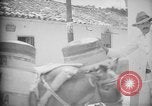 Image of Mules for transportation Caracas Venezuela, 1940, second 53 stock footage video 65675050640