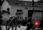Image of Mules for transportation Caracas Venezuela, 1940, second 55 stock footage video 65675050640