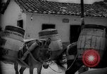 Image of Mules for transportation Caracas Venezuela, 1940, second 56 stock footage video 65675050640